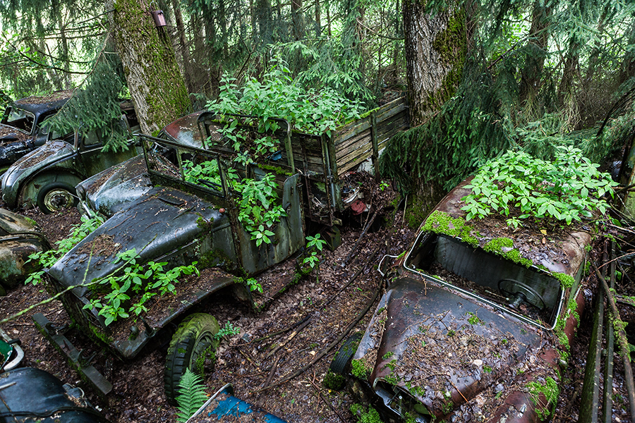 Andreas Greber, Fotograf, Bern. Fotografie, Reportagefotografie, Historischer Autofriedhof, Gürbental, Autowraks und Motorröder.. Autofriedhof Kaufdorf, 2008